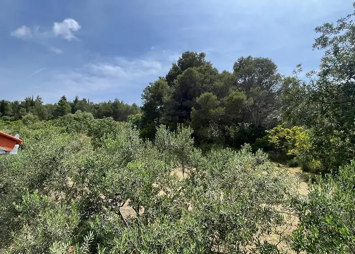 Charming With Sea View And Swimming Pool * Τρογκίρ