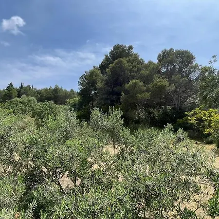 Charming With Sea View And Swimming Pool * Trogir